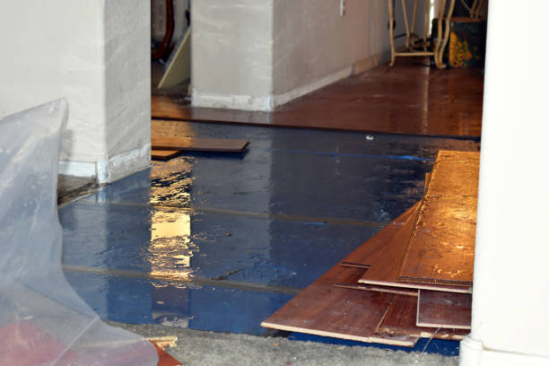 Professional Water Damage Restoration technician working in Burlington, WA